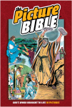 The Picture Bible cover